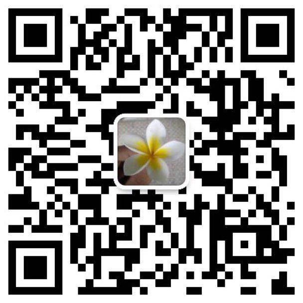 加我微信